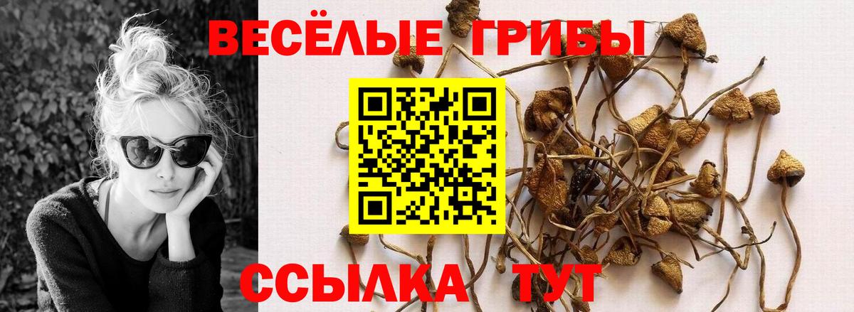 МДМА Рассказово