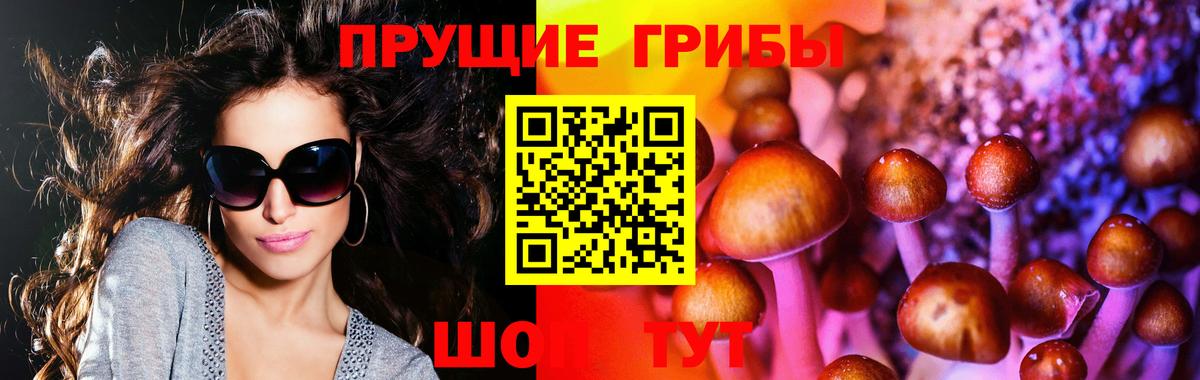 Галлюциногенные грибы ЛСД Рассказово